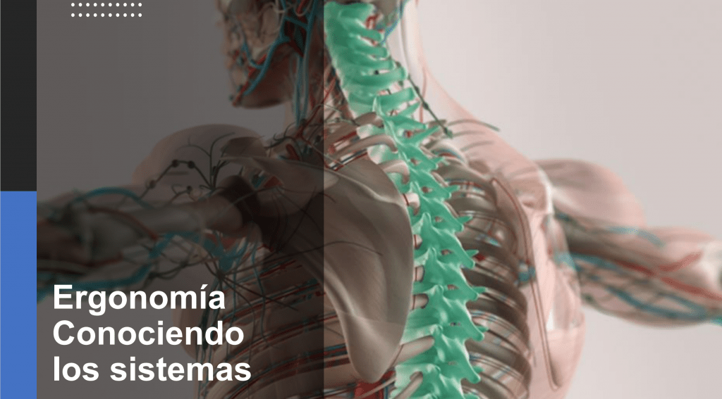 ergonomia